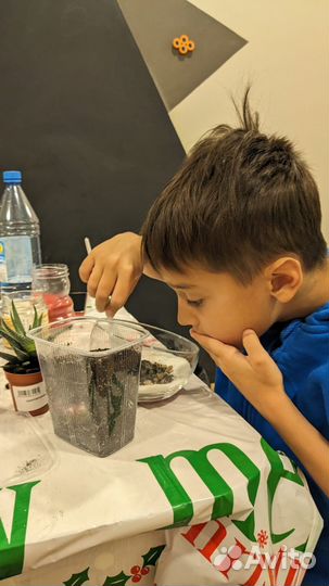 Мастер класс для детей и взрослых - Флорариум