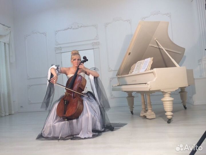 Музыкант Артист Выступление Виолончель