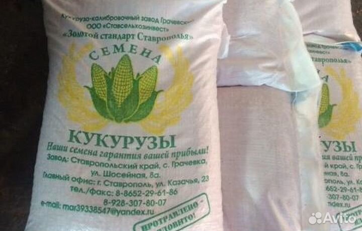 Кормовая кукуруза. Семена