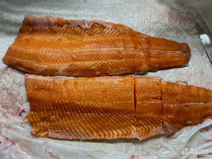 Свежая форель Мурманская