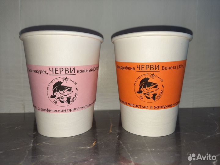 Черви для рыбалки круглосуточно