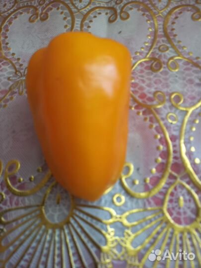 Перец Леся оранжевый