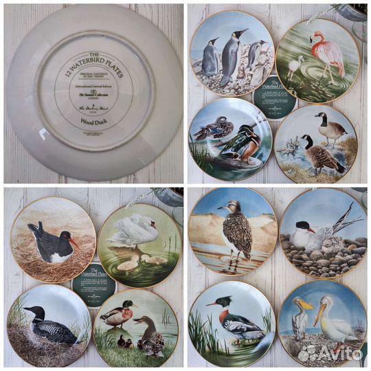 Полный комплект 12 Waterbird Plates
