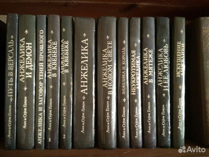 Анн и Серж Голон 