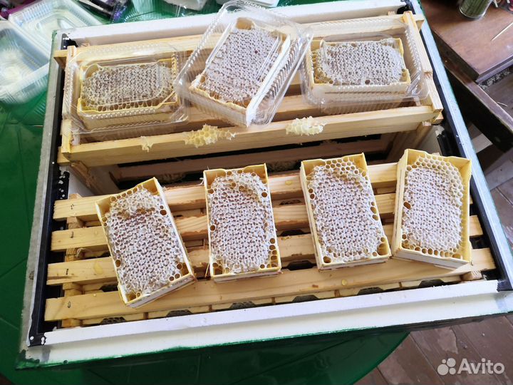 Мёд, Сотовый мёд