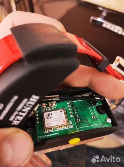 Ремонт ошейников Hunter GPS DTR 25000