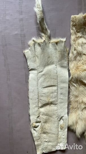 Шкурка животного Соболя