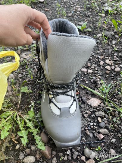 Беговые лыжи fischer