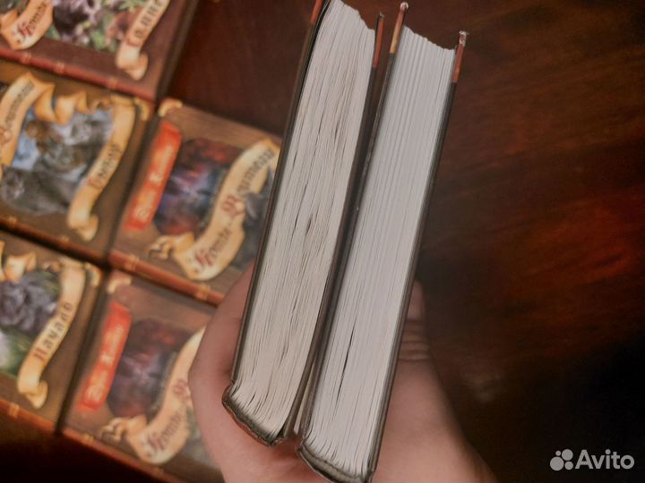 Коты воители специздание