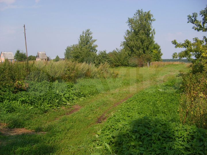 Участок 11 сот. (СНТ, ДНП)