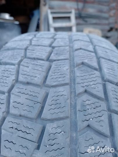 Dunlop All Season Maxx AS1 195/65 R15