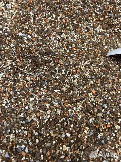 Грунт для суккулентов