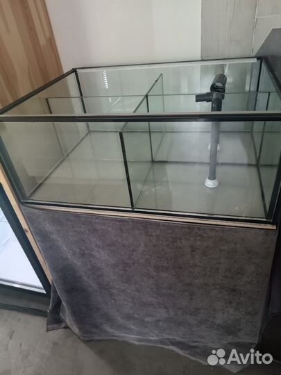 Аквариум для устриц