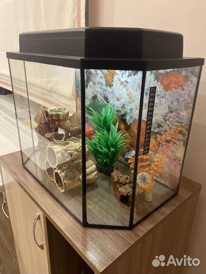 Аквариум с тумбой 60л