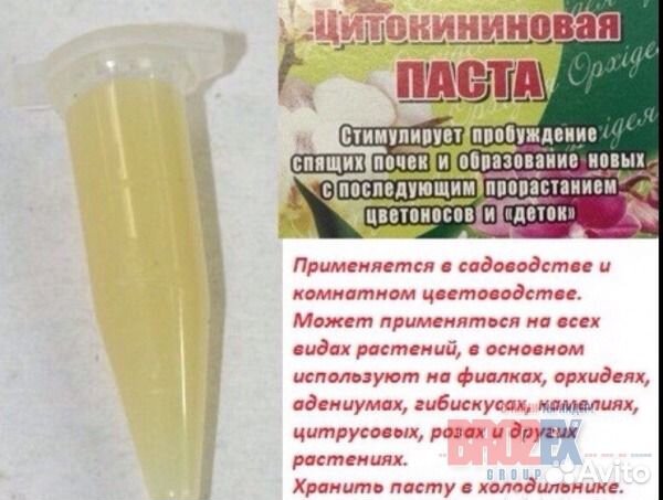 Цитокининовая паста для размножения орхидей