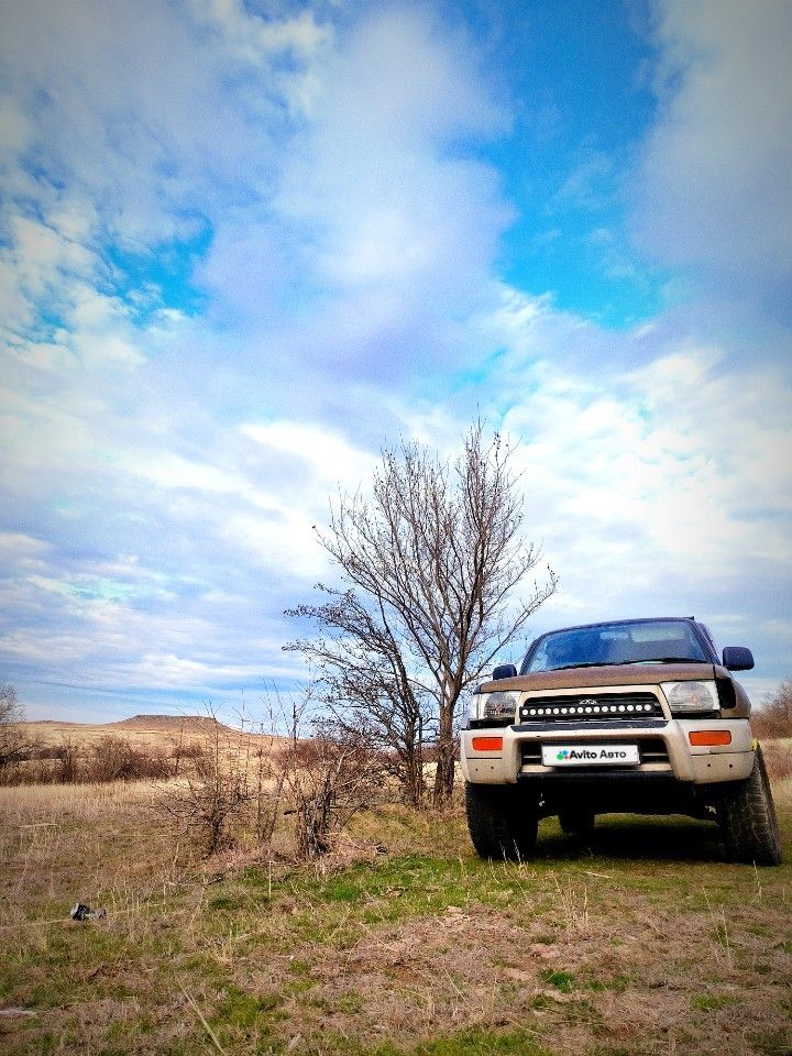 Toyota Hilux Surf: фото из отзыва