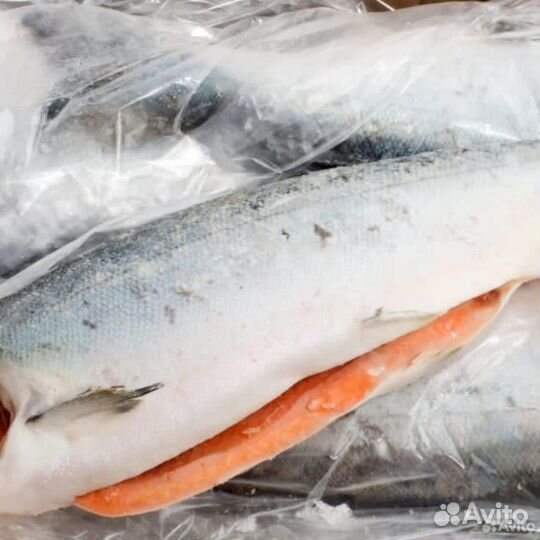 Камчатский дикий лосось Кижуч