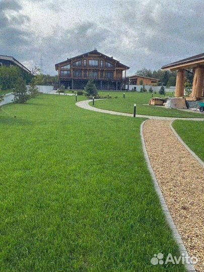 Рулонный газон