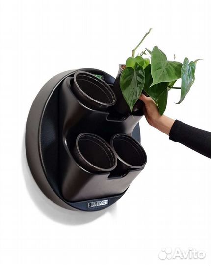 Фитомодуль Boxsand