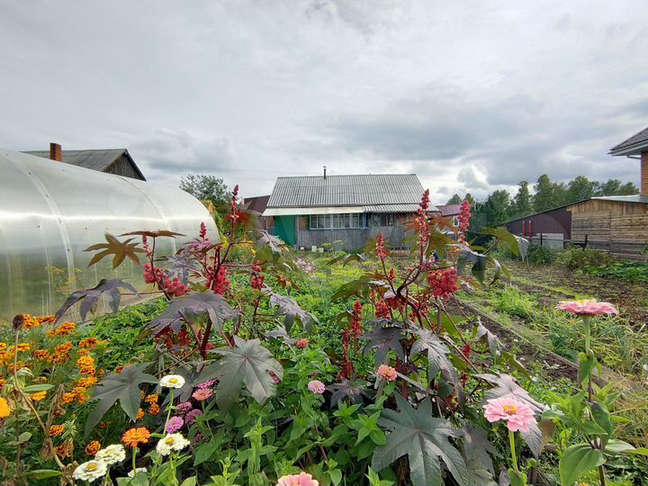 Дом 48 м² на участке 8 сот.