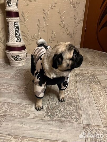 Комбинезон зимний для собак