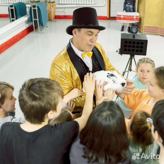 Волшебник, иллюзионист, фокусник