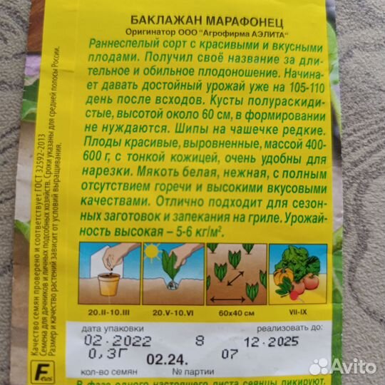 Рассада баклажан