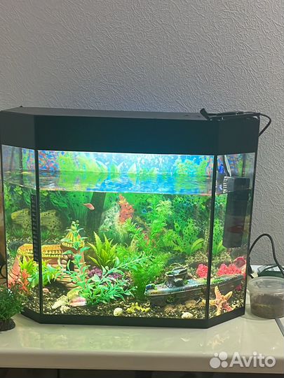 Украшение для аквариума