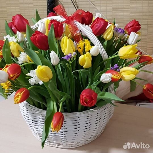 Луковицы тюльпанов