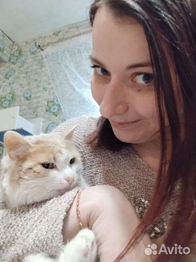 Зайка ищет семью