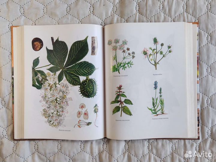 Популярный медицинский справочник, Василенко, 2007