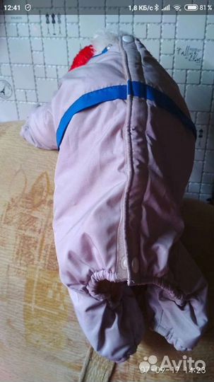 Комбинезон для щенка французского бульдога или моп