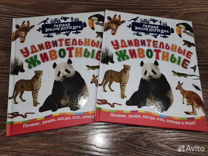 Детская развивающая книга новая