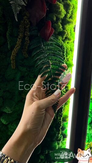 Панно со мхом и растениями 120 на 80 см