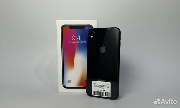 iPhone X, 256 ГБ