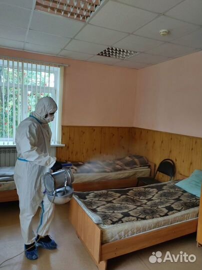 Дезинфекция, травить тараканов, уничтожение клопов