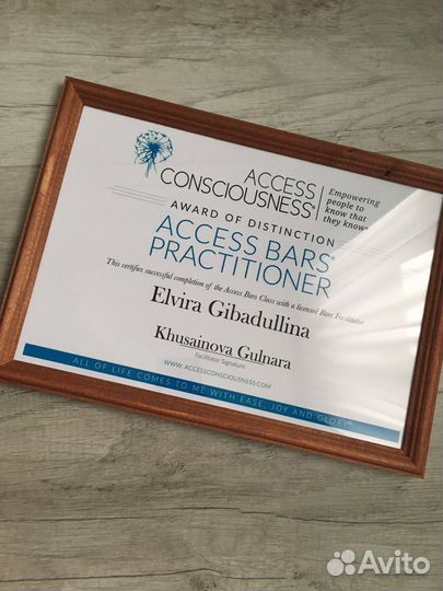 Телесные процессы Аксесс, Аксесс барс