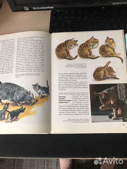 Книги про кошек