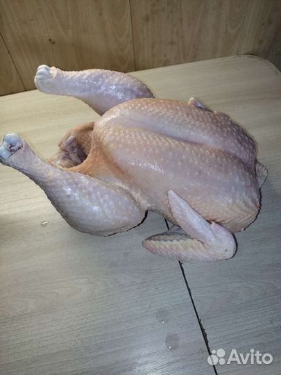 Мясо домашней птицы