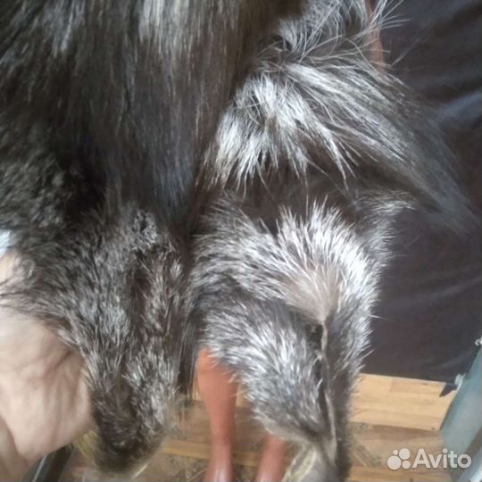 Воротник из чернобурки