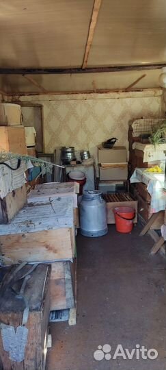 Пчелы и улья