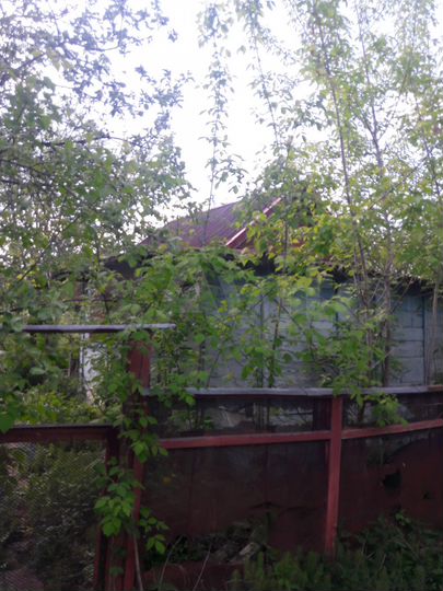 Участок 8 сот. (СНТ, ДНП)