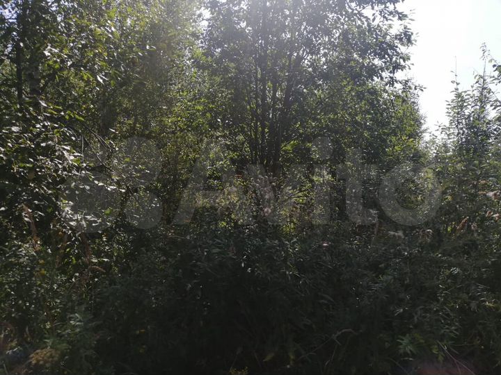 Участок 8 сот. (СНТ, ДНП)