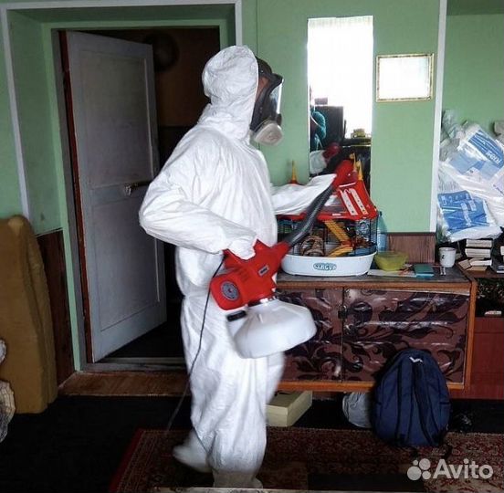 Дезинсекция от тараканов клопов муравьев блох и др