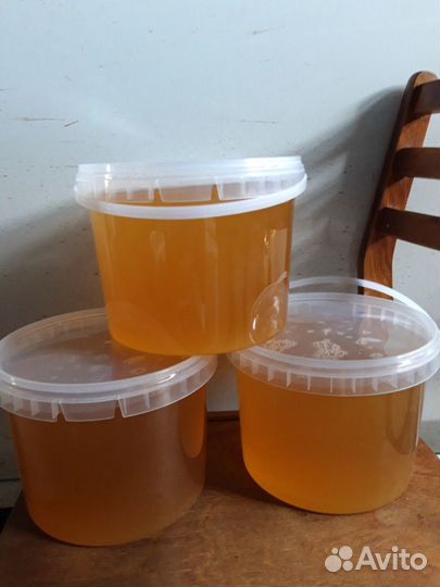 Свежий мёд 2023 оптом и в розницу