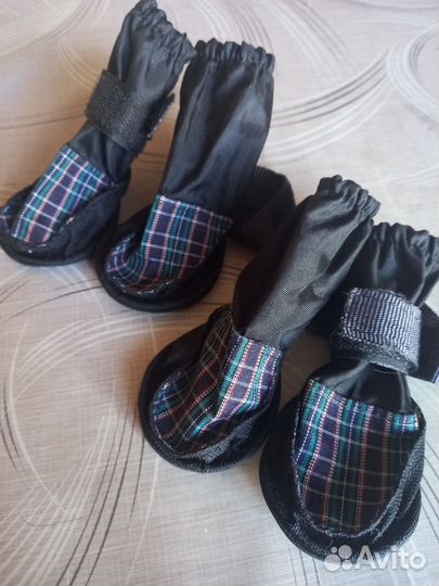 Ботинки для маленьких собак