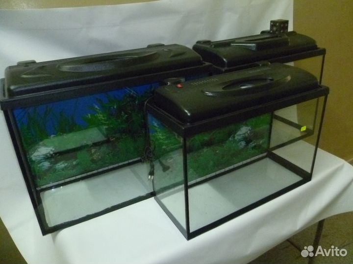 Аквариумы