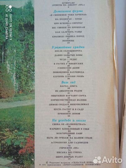 Приусадебное хозяйство