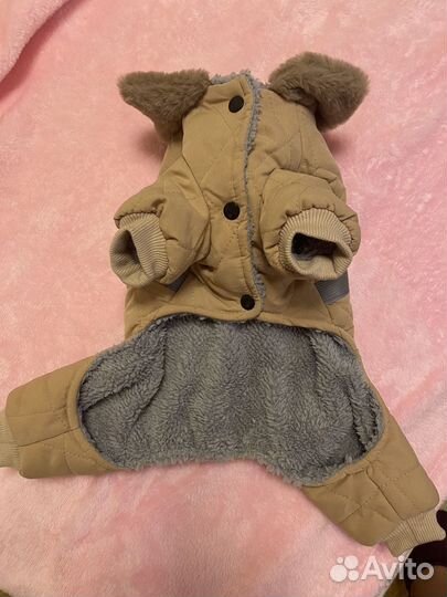 Одежда для собак