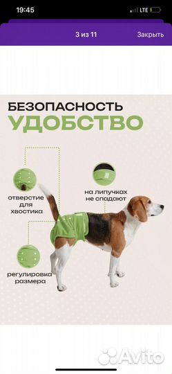 Многоразовые трусики для собак